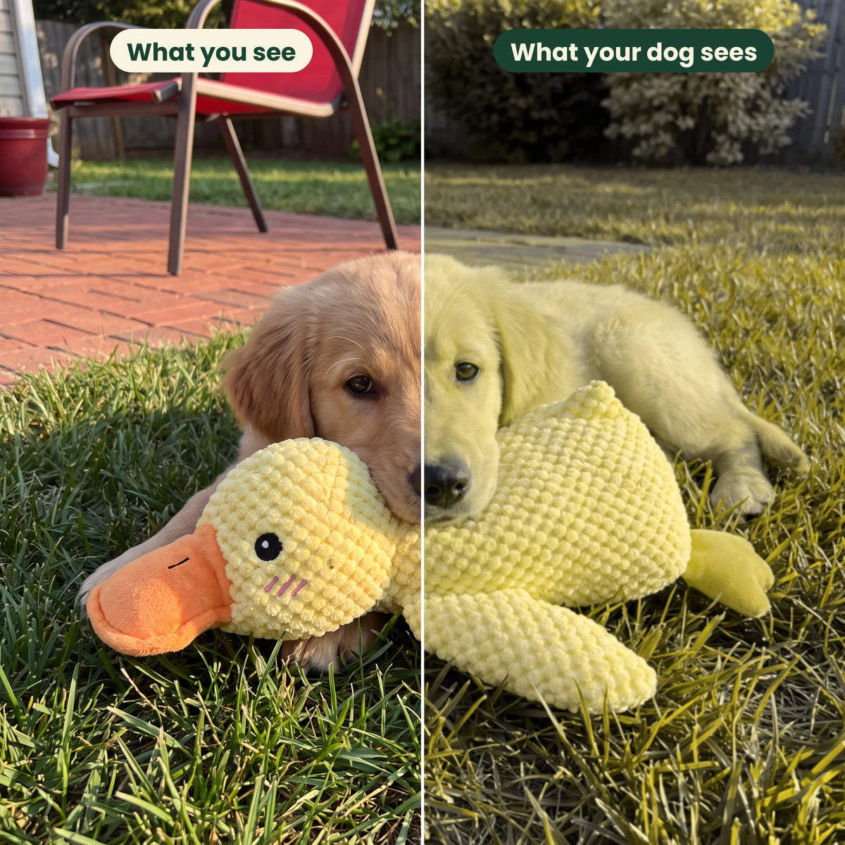 Mello™ the Calming Duck Toy (FREE Today)