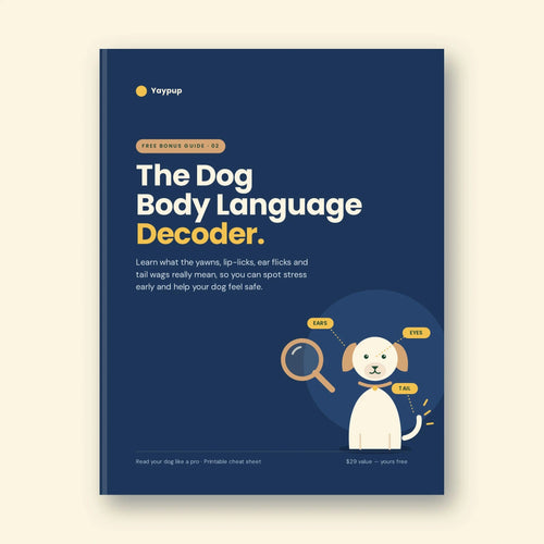 The Dog Body Language Decoder